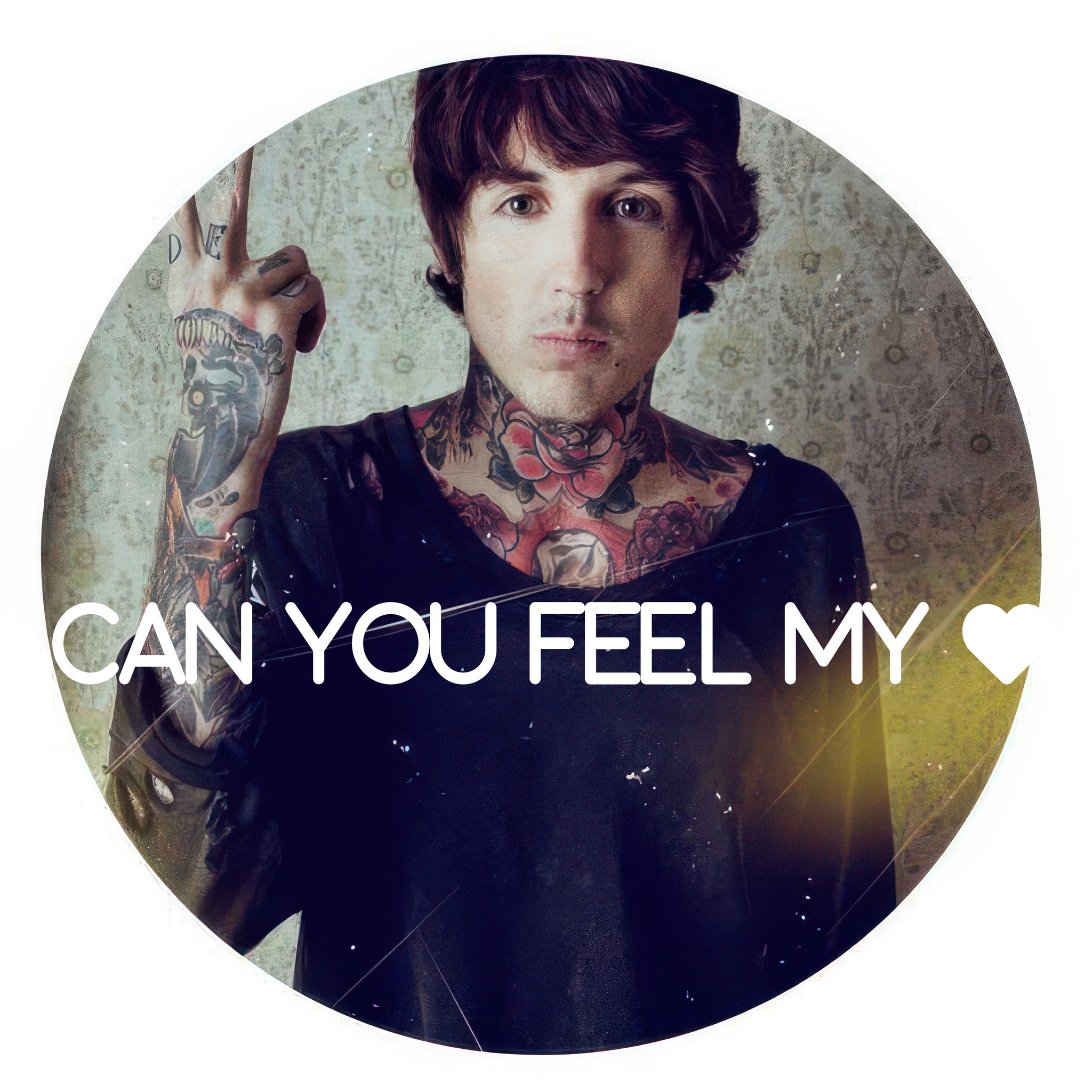 Bring Me The Horizon - Can You Feel My Heart (Acoustic Cover)