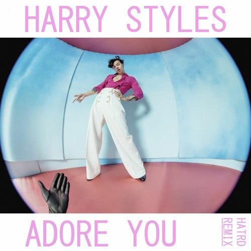 Harry Styles - Adore You (Acapella)