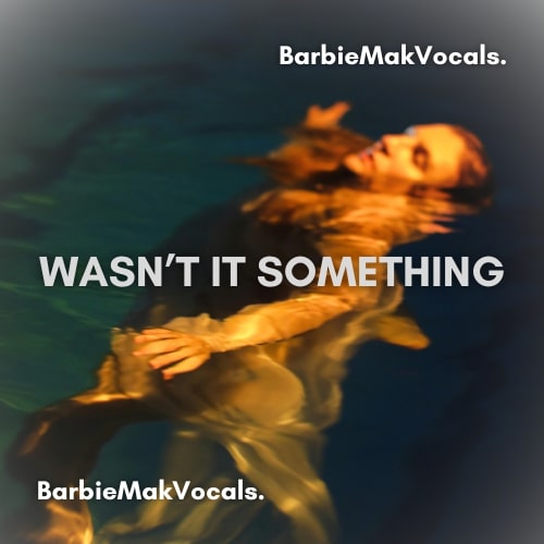 Wasn't It Something - Barbie Mak